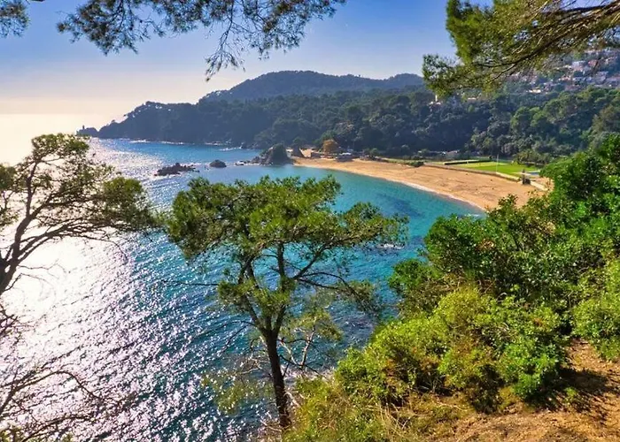 Villa Flamenco Lloret de Mar