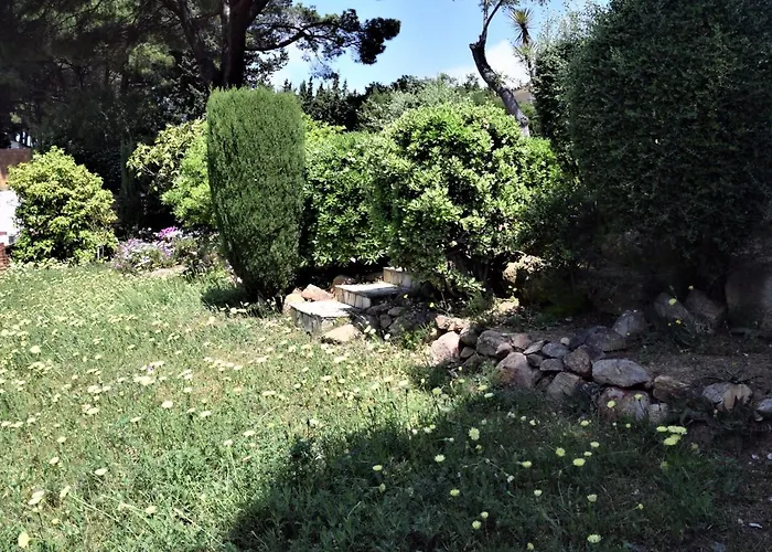 Flamenco Lloret de Mar
