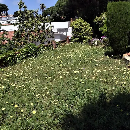 Flamenco Lloret de Mar