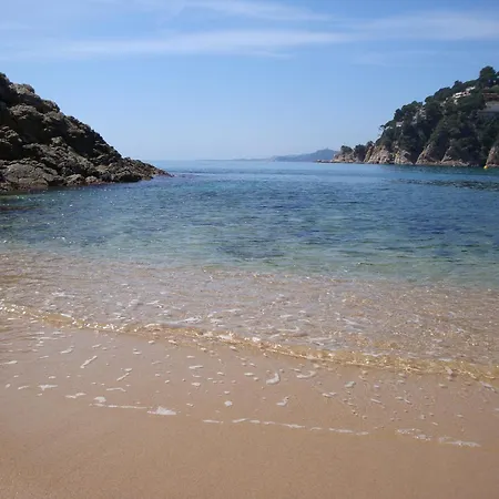 Flamenco Lloret de Mar