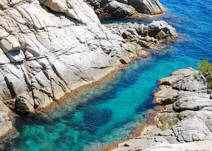 Flamenco Willa Lloret de Mar