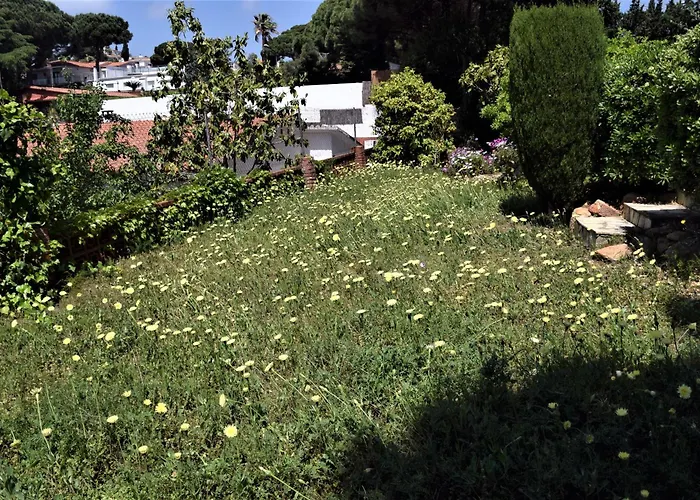 Flamenco Lloret de Mar
